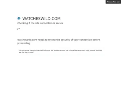 Watcheswild.com(Top 15 Perfect Replicas Of Cheap Rolex Watches In Usa) Screenshot