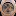 Watchtradingacademy.com Favicon