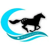 Waterdancer.com Favicon