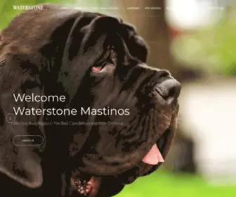 Waterstonemastinos.com(Waterstone Mastinos) Screenshot