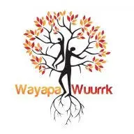 Wayapa.com Favicon