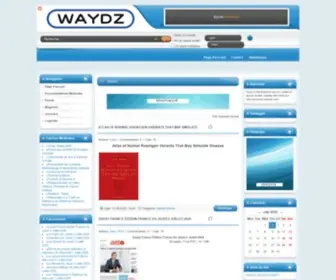 Waydz.com(WayDZ T) Screenshot
