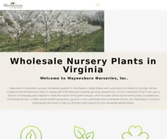 Waynesboronurseries.com(Wholesale Nursery Virginia) Screenshot