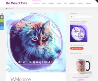 Wayofcats.com(The Way of Cats) Screenshot