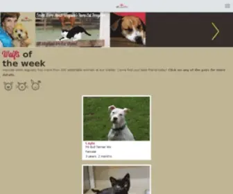 Waysidewaifs.org(Wayside Waifs) Screenshot