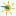 WCDN.wroc.pl Favicon