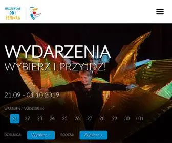 WDS.org.pl(Wszystko do sprzątania) Screenshot