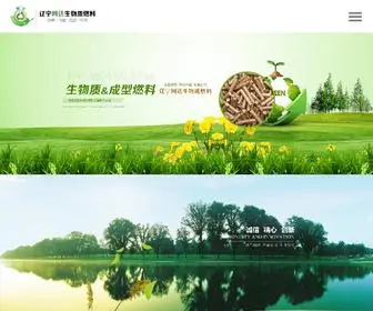 WDSWZRL.com(辽宁网达生物质燃料有限公司) Screenshot