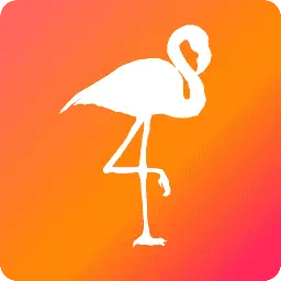 Weareflamingo.com Favicon