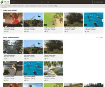 Wearenature.tv(Wearenature) Screenshot