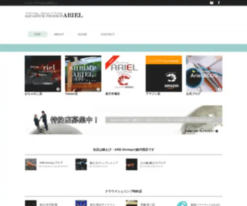 Web-Ariel.com(ディスカス) Screenshot