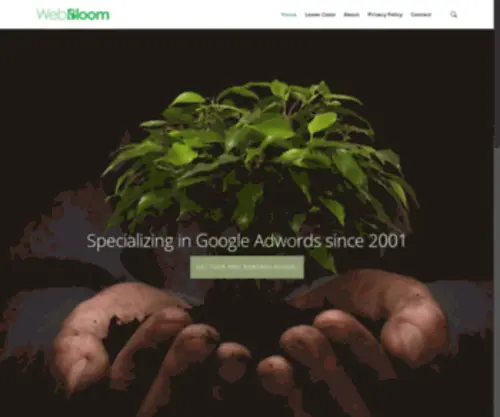 Webbloom.com(Internet marketing company) Screenshot