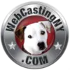 Webcastingny.com Favicon