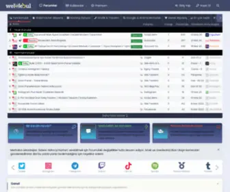 Webdebul.net(Webmaster Platformu) Screenshot