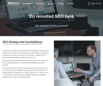 Webdivision.se(SEO byrå) Screenshot