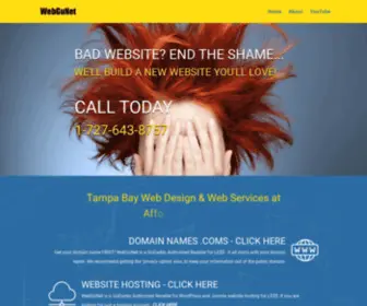 Webgunet.biz(WebGuNet Web Design Tampa) Screenshot