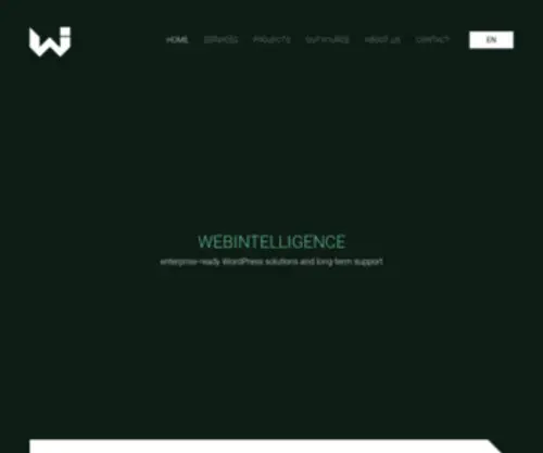 Webintelligence.de(WE MAKE IDEAS WORK by providing your business with enterprise) Screenshot