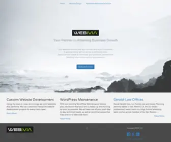 Webivia.com(Website Designer) Screenshot