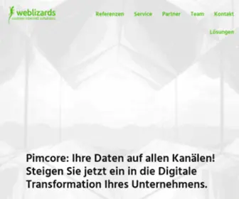 Weblizards.de(Custom Internet Solutions) Screenshot