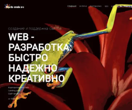 Webmicro.ru(создание сайтов) Screenshot