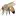 Webs.si Favicon