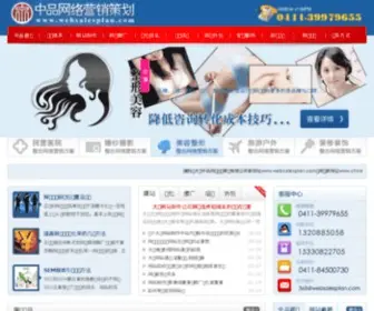 Websalesplan.com(中品网络营销外包) Screenshot