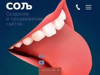 Websalt.ru(Создание и продвижение сайтов в Красноярске) Screenshot