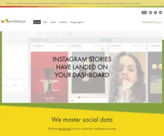 Websays.com(We Master Social Data) Screenshot