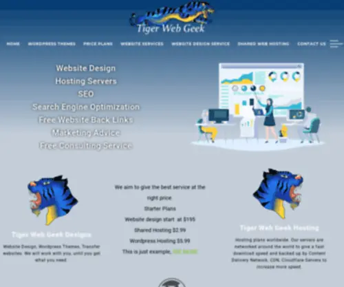 Websitedesignhostingseo.com(Website Design) Screenshot