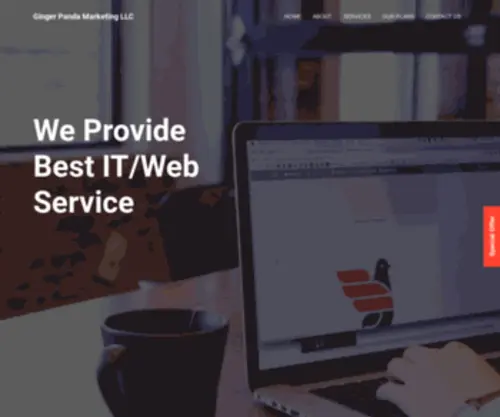 Websiteginger.com(Websiteginger) Screenshot