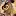 Websites-Designs.com Favicon