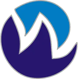 Webskynet.com Logo