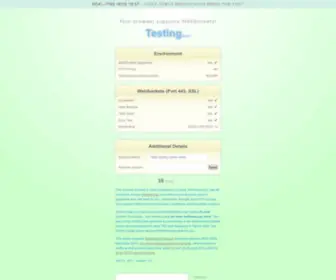 Websocketstest.com(Websocketstest) Screenshot