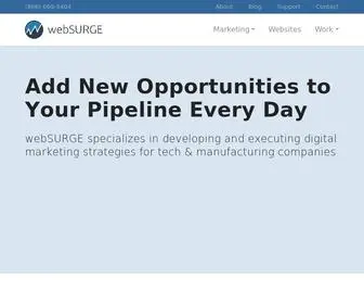 Websurge.com(Digital Marketing for B2B Companies) Screenshot