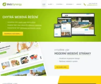 Websynergy.cz(Tvorba moderních webových stránek a e) Screenshot