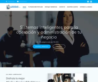 Websys.com.mx(Smart Systems) Screenshot