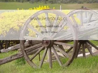 Webtours.cl(Webtours) Screenshot