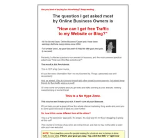 Webtrafficbasics.com(Web Traffic Basics) Screenshot