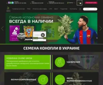 Weedseeds.com.ua(Магазин семян конопли WeedSeeds ⭐) Screenshot