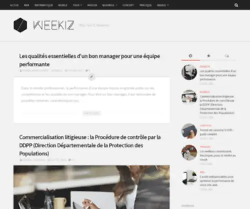 Weekiz.fr(Blog concept) Screenshot