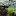 Weenature.com Favicon