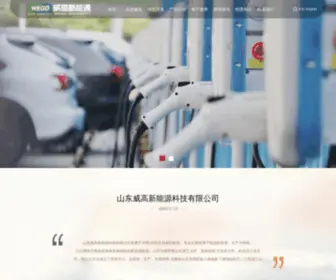 Wegobattery.com(威海威高医用材料有限公司) Screenshot