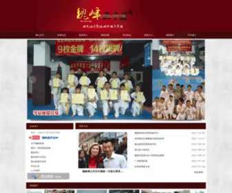 Weijkd.com(珠海市魏峰武术培训有限公司) Screenshot