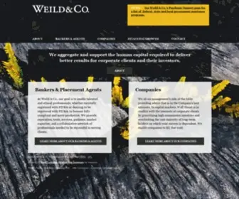 Weildco.com(Weild & Co) Screenshot