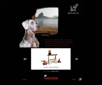 Weimaranernobiskrug.com.br(Nobiskrug Weimaraners) Screenshot