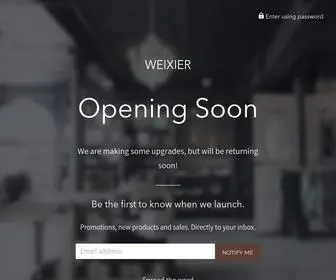 Weixierbags.com(WEIXIER) Screenshot