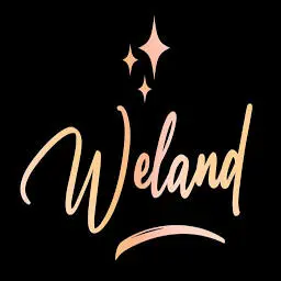 Weland.com.ar Logo