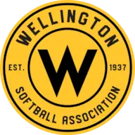 Wellingtonsoftball.org.nz Favicon