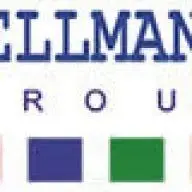 Wellmanngroup.com Logo