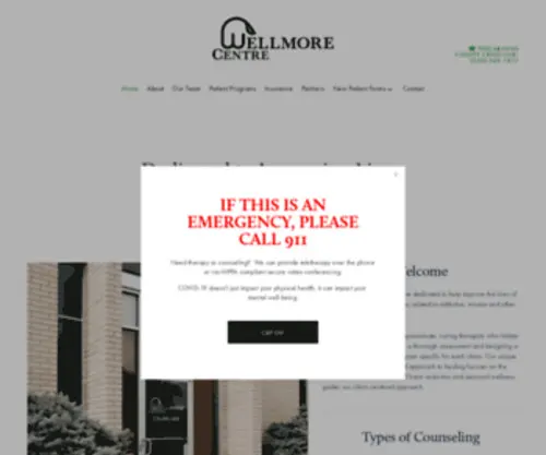 Wellmorecentre.com(WellMore) Screenshot